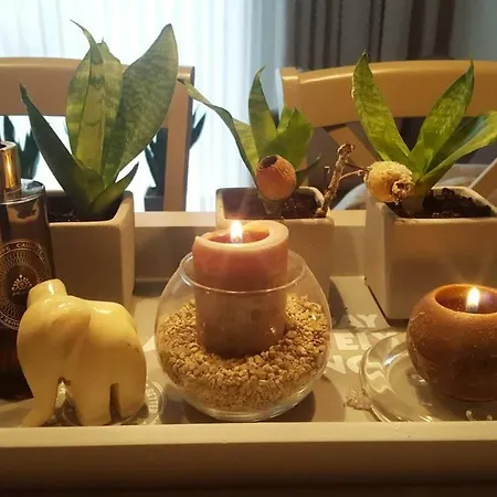 Apartamento Antakalnis